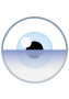 Blink custom icon Glaucoma